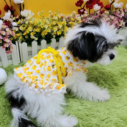 러블리블로 강아지 원피스 유라 오리 무늬가 있는 귀엽고 예쁜 강아지옷