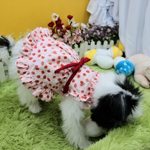 러블리블로 강아지 원피스 유라 딸기 무늬가 있는 귀엽고 예쁜 강아지옷