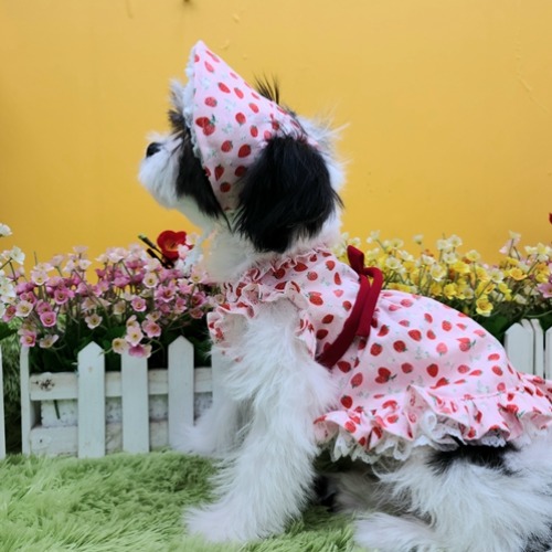 강아지 보닛 딸기 무늬가 있는 귀엽고 예쁜 강아지모자