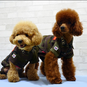 러블리블로 강아지 해병대 군복 세트 (자켓 + 올인원) - 주문제작